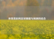 体育竞彩网足球策略与预测的结合