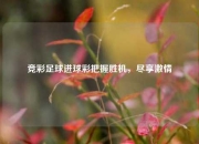 竞彩足球进球彩把握胜机，尽享激情