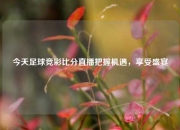 今天足球竞彩比分直播把握机遇，享受盛宴