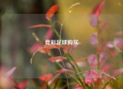 竞彩足球购买