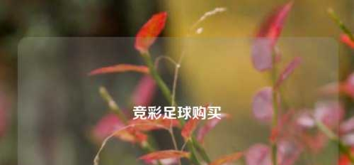 竞彩足球购买