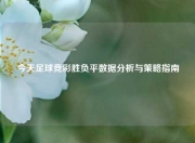 今天足球竞彩胜负平数据分析与策略指南