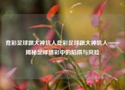 竞彩足球跟大神坑人竞彩足球跟大神坑人——揭秘足球博彩中的陷阱与风险