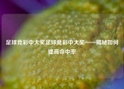 足球竞彩中大奖足球竞彩中大奖——揭秘如何提高命中率