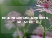 竞彩2串1足球预测推荐竞彩2串1足球预测推荐——精选分析与策略分享