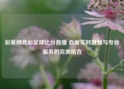 彩客网竞彩足球比分直播 百度实时数据与专业服务的完美结合