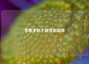 苹果手机下载竞彩足球
