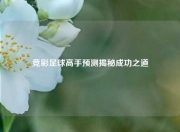竞彩足球高手预测揭秘成功之道