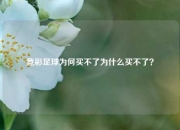 竞彩足球为何买不了为什么买不了？
