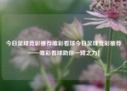 今日足球竞彩推荐唯彩看球今日足球竞彩推荐——唯彩看球助你一臂之力！