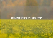 竞彩足球比分投注|购买|技巧