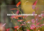 竞彩足球怎么玩的揭秘你的第一步