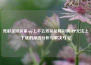 竞彩足球彩票app上不去竞彩足球彩票APP无法上下载的原因分析与解决方法