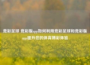竞彩足球 竞彩版app如何利用竞彩足球和竞彩版app提升您的体育博彩体验
