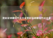 竞彩足球赚钱方法大全竞彩足球赚钱方法大全