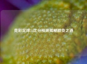 竞彩足球31比分预测揭秘胜负之道