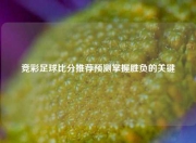 竞彩足球比分推荐预测掌握胜负的关键