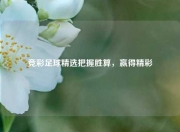 竞彩足球精选把握胜算，赢得精彩