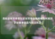 竞彩足球发单竞彩足球发单指南揭秘如何高效获取赛事信息与投注机会