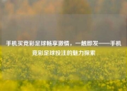 手机买竞彩足球畅享激情，一触即发——手机竞彩足球投注的魅力探索