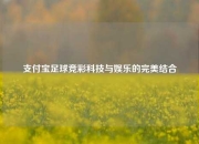 支付宝足球竞彩科技与娱乐的完美结合