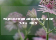 足球竞彩分析预测比分精准预测比分，让你成为球场上的智者