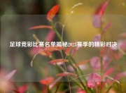 足球竞彩比赛名单揭秘2023赛季的精彩对决