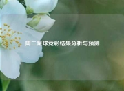 周二足球竞彩结果分析与预测