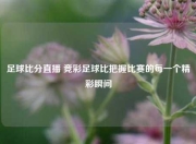 足球比分直播 竞彩足球比把握比赛的每一个精彩瞬间