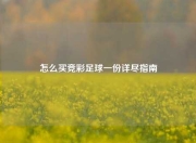 怎么买竞彩足球一份详尽指南