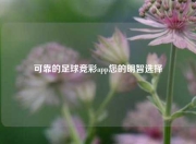 可靠的足球竞彩app您的明智选择
