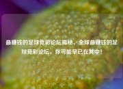 最赚钱的足球竞彩论坛揭秘，全球最赚钱的足球竞彩论坛，你可能早已在其中！
