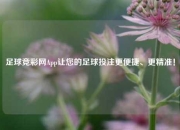 足球竞彩网App让您的足球投注更便捷、更精准！
