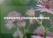 足球竞彩推荐比分预测揭秘精准胜算的秘密
