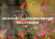竞彩足球在哪个平台买竞彩足球在中国市场的普及与购买渠道探索