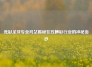 竞彩足球专业网站揭秘在线博彩行业的神秘面纱