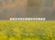 新浪足球竞彩直播实时竞猜盛宴
