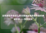 足球竞彩外盘怎么购买揭秘足球竞彩外盘的神秘世界——如何购买