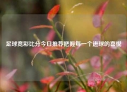 足球竞彩比分今日推荐把握每一个进球的喜悦