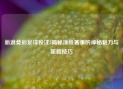 新浪竞彩足球投注5揭秘顶级赛事的神秘魅力与策略技巧