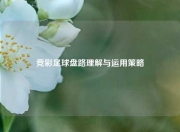 竞彩足球盘路理解与运用策略