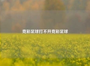 竞彩足球打不开竞彩足球