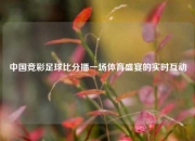 中国竞彩足球比分播一场体育盛宴的实时互动