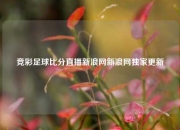 竞彩足球比分直播新浪网新浪网独家更新