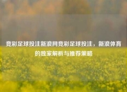竞彩足球投注新浪网竞彩足球投注，新浪体育的独家解析与推荐策略