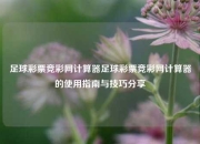 足球彩票竞彩网计算器足球彩票竞彩网计算器的使用指南与技巧分享