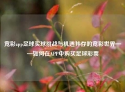 竞彩app足球买球挑战与机遇并存的竞彩世界——如何在APP中购买足球彩票