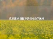 竞彩足球 直播你的得心应手选择