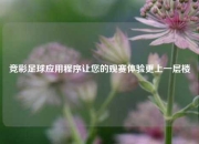 竞彩足球应用程序让您的观赛体验更上一层楼