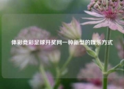 体彩竞彩足球开奖网一种新型的娱乐方式